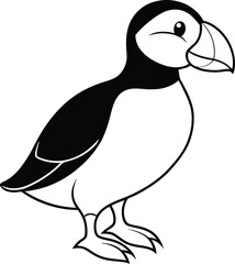illustration of a duck