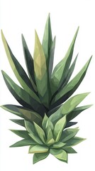 Obraz premium Stunning Botanical Illustration of a Vibrant Succulent Plant. A Perfect Artwork for Your Home Decor. A Detailed and Artistic Representation of Nature's Beauty.