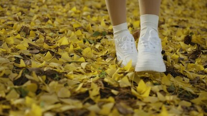 Front view of woman white sneakers stepping on ginkgo leaves in a vibrant autumn park, slow motion, shallow depth of field