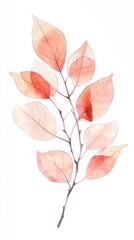 Delicate Watercolor Branch with Soft Pink Leaves - A Beautiful Floral Illustration for Home Decor