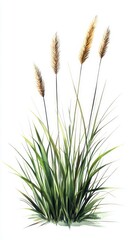 A Delicate Watercolor Painting of Lush Grass, A Nature's Embrace