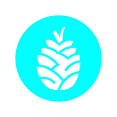 Pine Cone