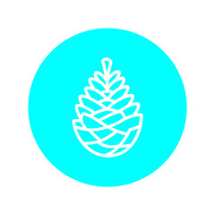 Pine Cone