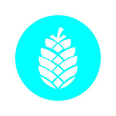 Pine Cone