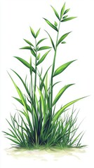 Fototapeta premium Vibrant Green Grass Illustration - Lush Meadow Scene