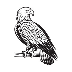Eagle vector illustration. Eagle black vector artwork.