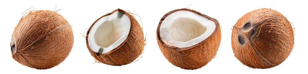 Isolated-coconut,-full-depth-of-field,-white-background