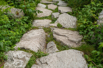 the road is paved with huge stones between which green grass grows