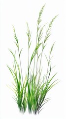 Obraz premium A Lush Display of Vibrant Green Grass in a Detailed Artistic Still Life