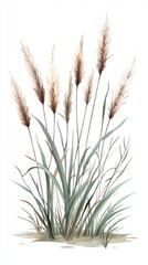 Delicate Watercolor Grass Illustration - A Stunning Botanical Art Piece for Your Home Decor