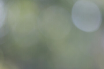 Beautiful bokeh texture background wallpaper