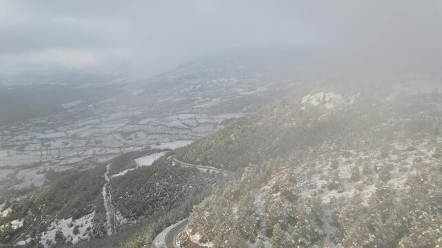 Winter Foggy Forest Aerial View