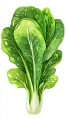 Fototapeta premium Vibrant Bok Choy: A Fresh, Healthy, and Nutritious Vegetable