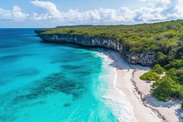 Obraz premium Beautiful Coastline With Turquoise Waters and Lush Greenery on a Sunny Day in a Tropical Paradise