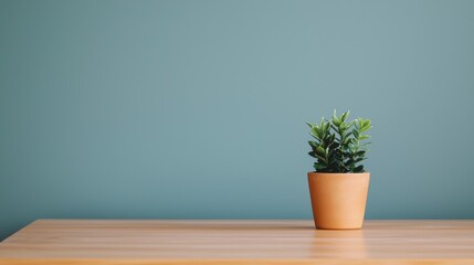 Small potted plant sitting on a wooden table against a minimalist teal wall