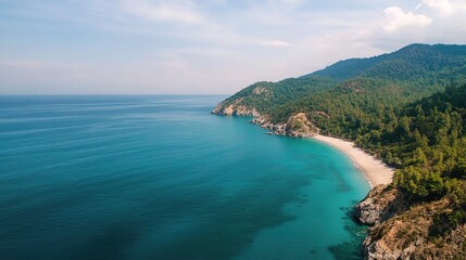 Obraz premium Serene Aerial View of a Tranquil Beach and Clear Blue Ocean