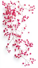 Stunning Pink Berries on Branches - A Vibrant Floral Arrangement