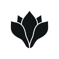 Magnolia Flower Icon features a soft and elegant design, perfect for representing natural beauty, sophisticated decor, or botanical-inspired branding