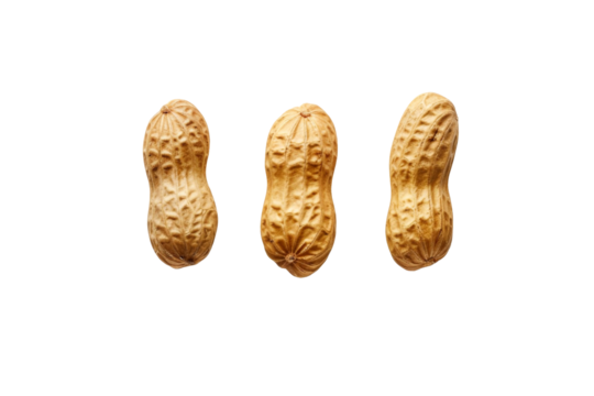 Three whole peanuts in shells from flat lay view isolated on transparent background.