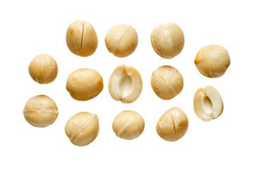 Assorted shelled macadamia nuts arranged from top view isolated on transparent background.