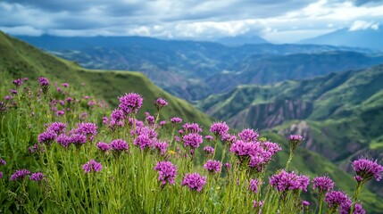Fototapeta premium Vibrant purple wildflowers bloom in the foreground of a scenic mountain range landscape under a cloudy sky.