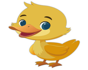 DUCK