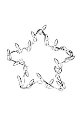 Obraz premium Weihnachtsstern Lichterkette