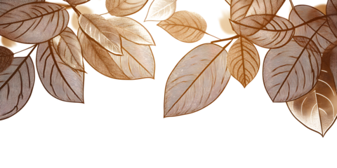 Luxury gold line art autumn leaf background vector. Natural botanical elegant foliage with jungle leaves. Design illustration for decoration, wall decor, wallpaper, cover, banner, poster, card.