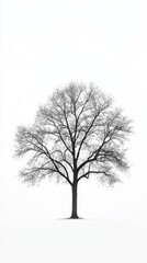 Obraz premium Solitary Winter Tree Silhouette Against a Pristine White Landscape: A Minimalist Masterpiece of Nature's Serenity