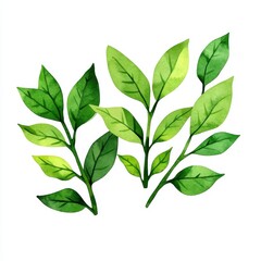 A vibrant illustration of green leaves showcasing various shades and shapes, symbolizing nature and growth.