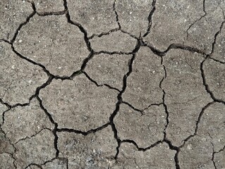 Dry and cracked ground surface in summer. Natural background texture 