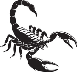 Intricate Scorpion Outline Vector Illustration