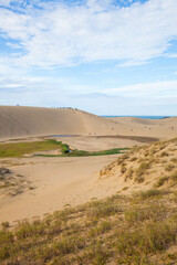 秋の鳥取砂丘の風景 鳥取県 鳥取砂丘