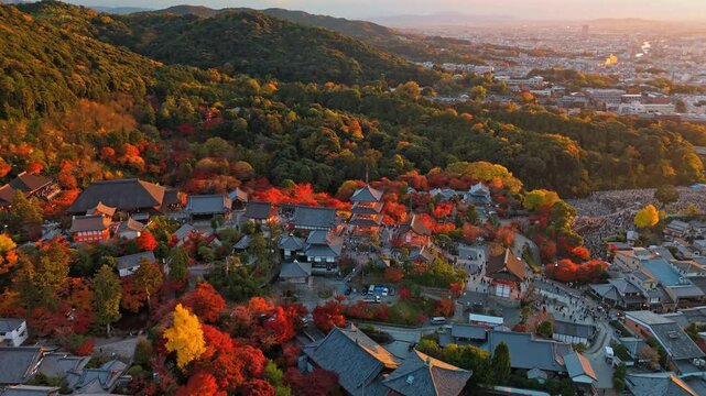 An enchanting drone clip of Kiyomizu-dera Temple in Kyoto, Japan, during the peak of the autumn foliage season.
