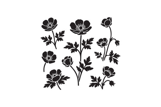 black anemone flowers on white background clip art preview