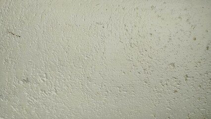 light green or soft green cement wall background grumbled or grunge. The texture in the cement wall looks so beautiful