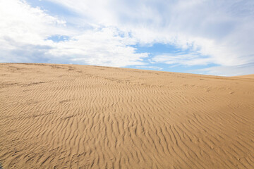 Naklejka premium 秋の鳥取砂丘の風景 鳥取県 鳥取砂丘