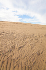 秋の鳥取砂丘の風景 鳥取県 鳥取砂丘