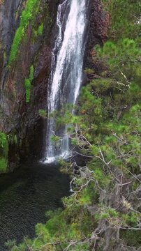 Vertical Aguas Blancas the highest Waterfall in Constanza aerial view through coniferous trees. The beautiful nature of the Dominican Republic