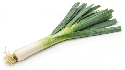 set of various plates of food isolated on white background