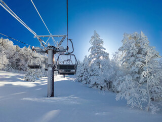 Forest covered with rime viewed from a chairlift at a ski resort (Yokoteyama, Nagano, Japan)