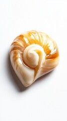 A Stunning, Detailed, and Exquisitely Crafted Seashell