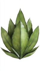 Obraz premium Stunning Green Plant Leaves Design - A Tropical Oasis