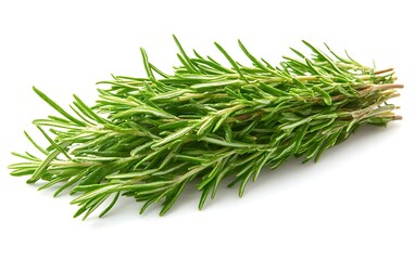 Fresh rosemary sprig isolated on white background. (2)