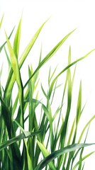 Fototapeta premium Vibrant Green Grass Illustration - A Lush Botanical Watercolor