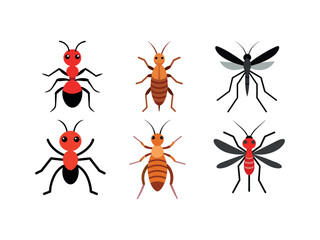 Bundle of insect