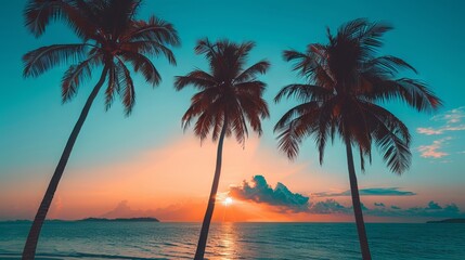 Silhouetted palm trees standing tall on a serene tropical beach at sunset with modern vintage color palette