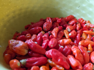 Fresh red and green chilies. Red chilies and cayenne peppers. Chilies have a spicy taste.