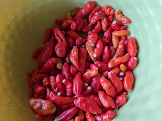 Fresh red and green chilies. Red chilies and cayenne peppers. Chilies have a spicy taste.
