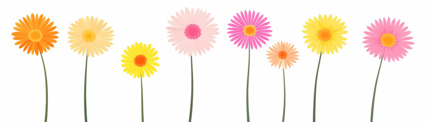 Vibrant Gerbera Daisies Bloom Brightly in a Row, showcasing a delightful array of colors and cheerful petals.